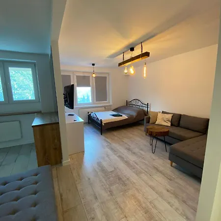 Przy Moscie Апартаменты Жешув